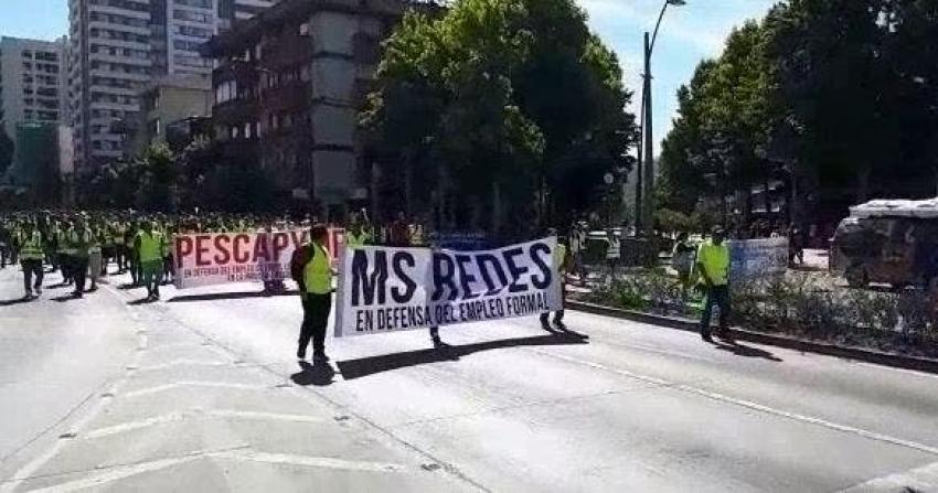 Ley de la Jibia: Pescadores realizan marcha en Santiago