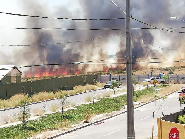 Incendio forestal amenaza a viviendas en Puente Alto