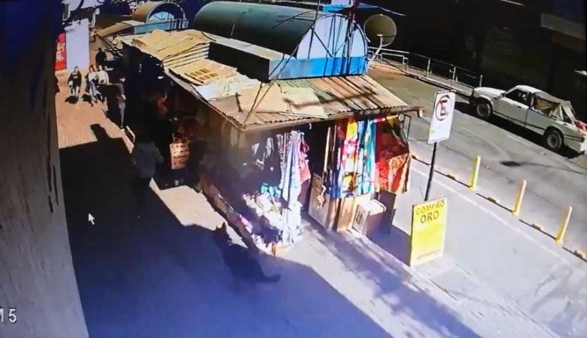 [VIDEO] El decidido actuar de un perro policial que capturó a un ladrón en Rancagua