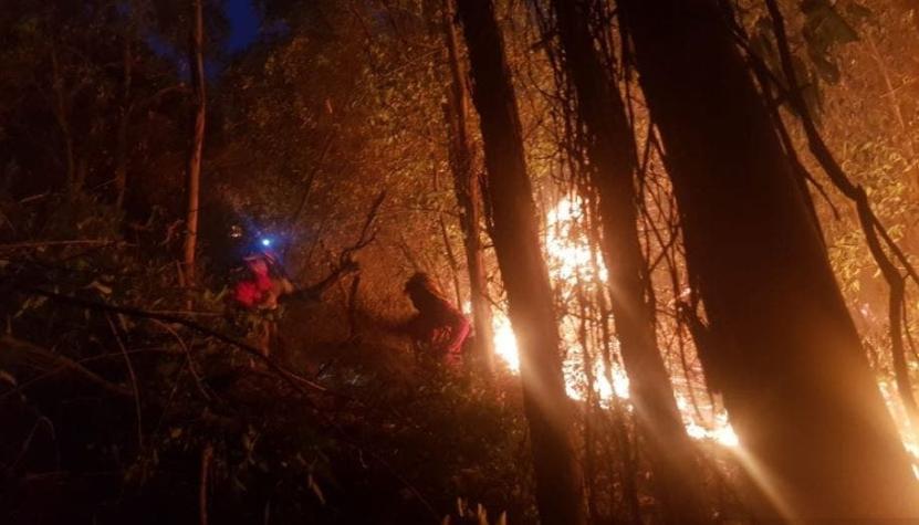Decretan Alerta Roja en Pirque por incendio forestal