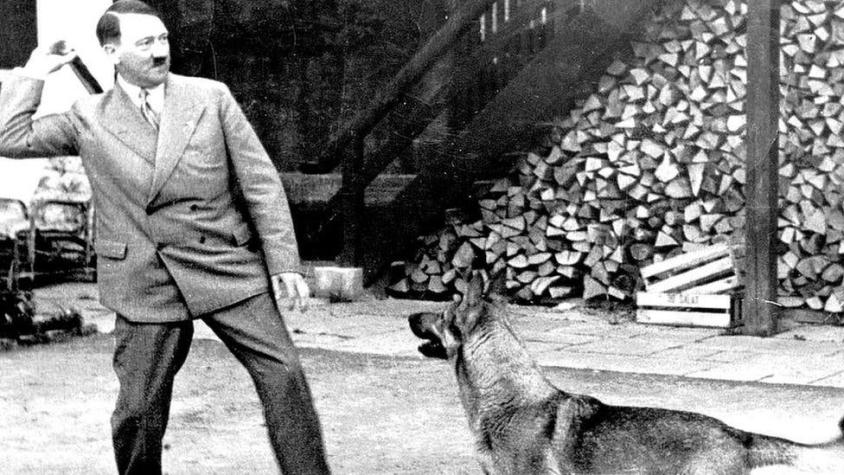 "Mein Kampf": ¿quién se quedó con los millones de Hitler tras su muerte?