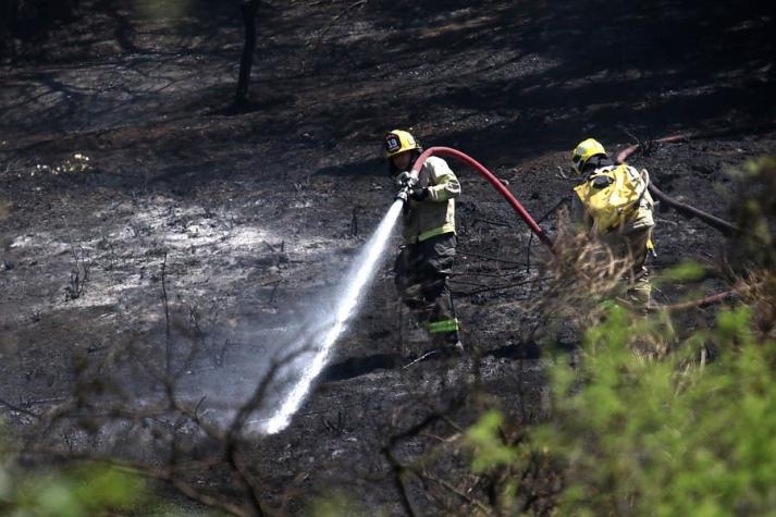 Declaran alerta roja comunal en Melipilla por incendio forestal