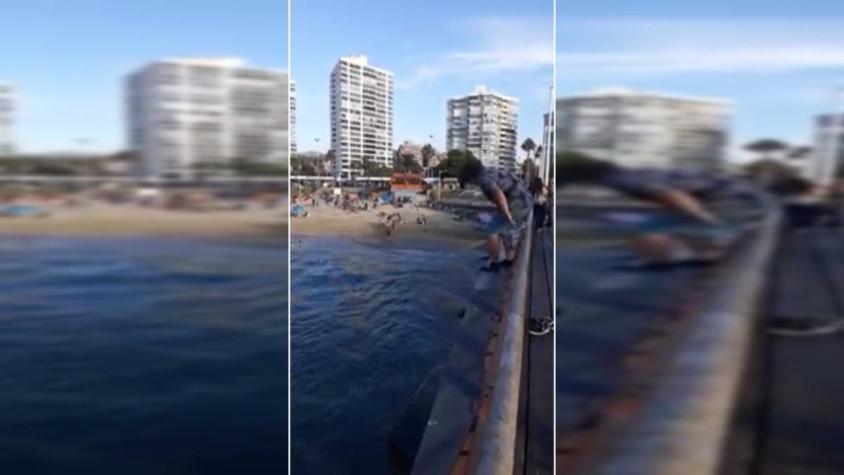 [VIDEO] Peligroso piquero desde Muelle Vergara en Viña del Mar