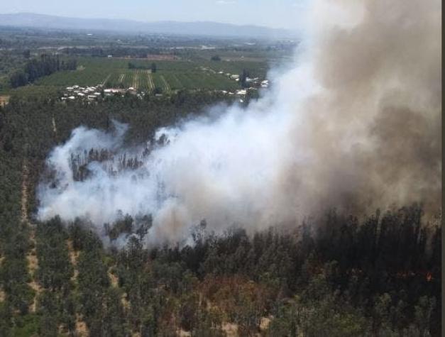 Incendio forestal en Curicó consumió cerca de 11 hectáreas