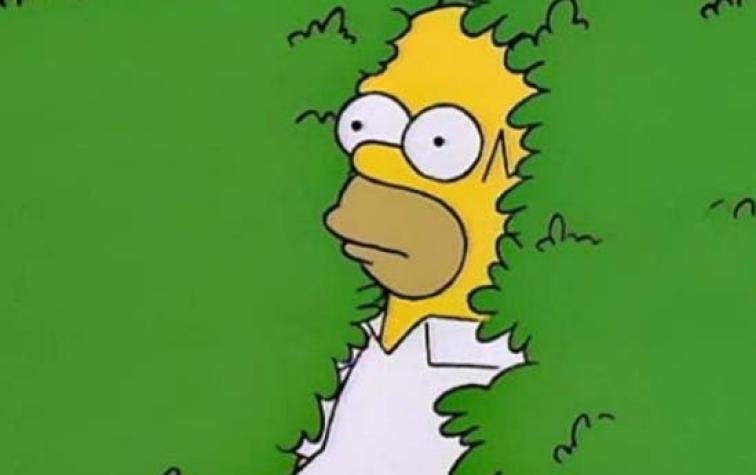 [VIDEO] Homero Simpson usó su propio gif durante episodio de la serie