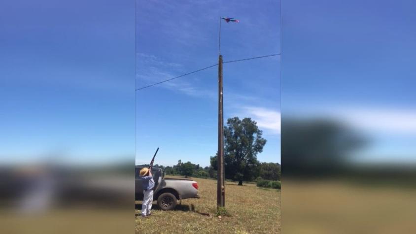 [VIDEO] Vocera de agricultores justifica disparos a bandera mapuche: "No había cómo bajarla"