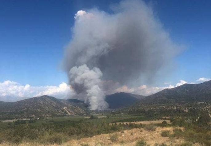Declaran alerta roja por incendio forestal en Machalí