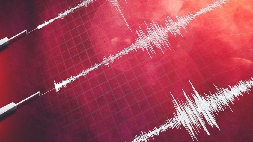 Temblor 4,9 Richter se registra en la zona central