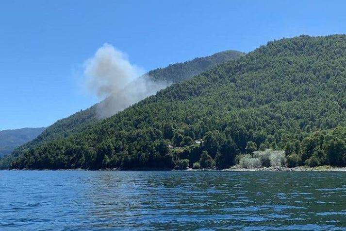 Incendio forestal se produce en la ribera del lago Caburga