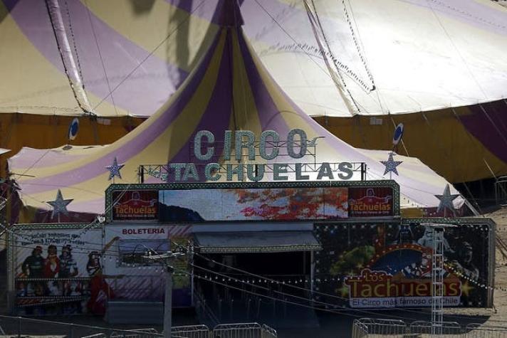 El "Farkas de los pobres" invita a más de 800 niños para que vayan gratis al circo