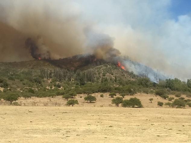 Aumenta a cien el número de hectáreas afectadas tras incendio forestal en Casablanca