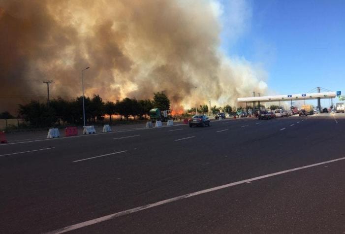 [VIDEO] Incendio forestal se registra en cercanías a plaza de peaje en la Región de La Araucanía