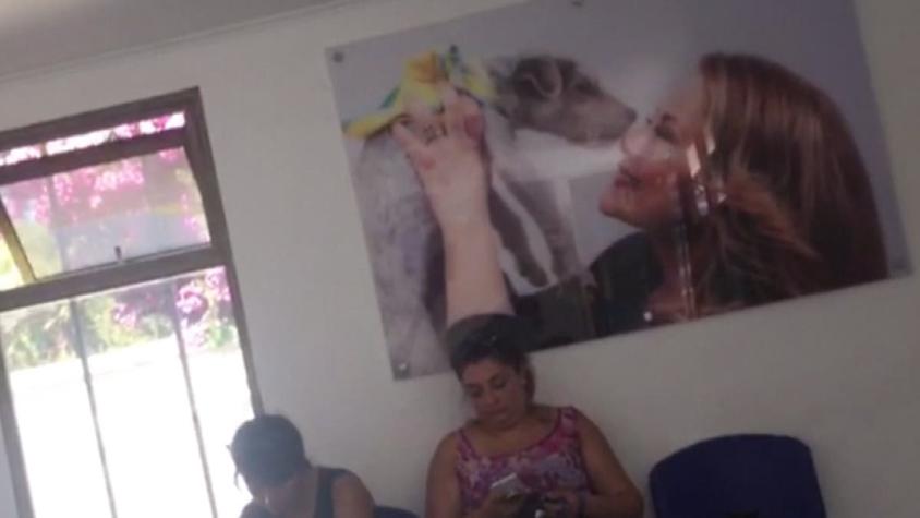 [VIDEO] Polémica por fotos de Cathy Barriga en nueva clínica veterinaria