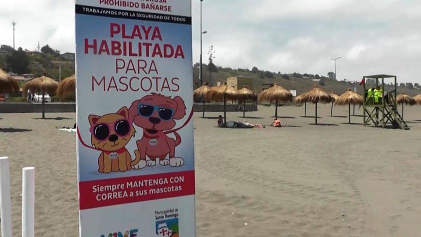 [VIDEO] Nueva playa para mascotas en Santo Domingo