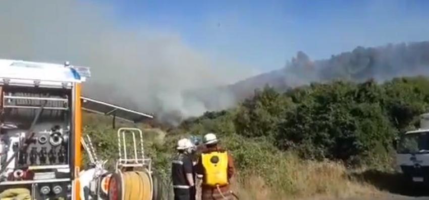 Onemi declara alerta roja en Temuco por incendio forestal