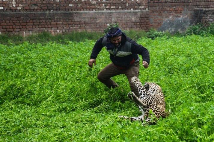 [VIDEO] Un leopardo aterroriza a una ciudad de la India
