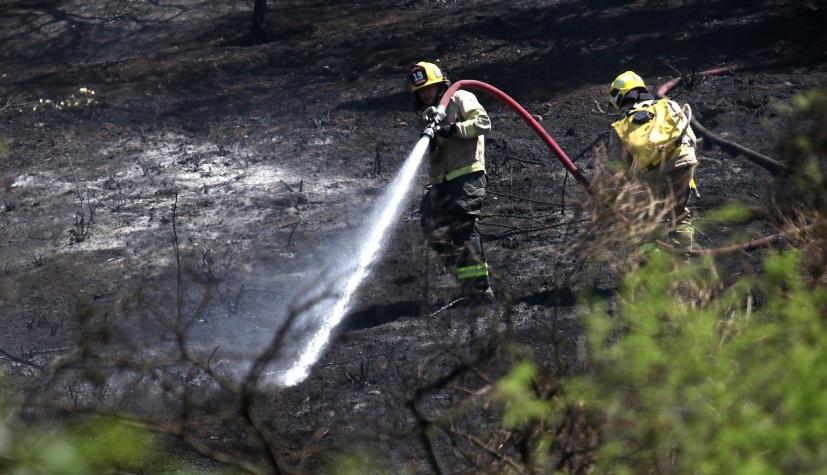 Decretan Alerta Roja para la comuna de Cholchol por incendio forestal que amenaza viviendas