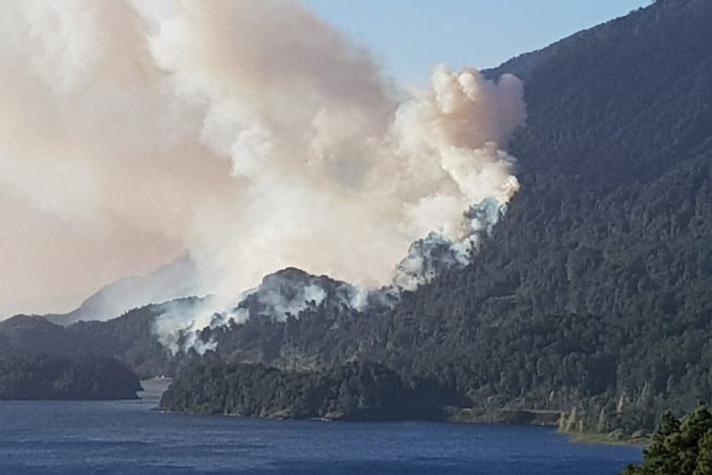 Decretan alerta roja en la región de Los Ríos por incendios forestales