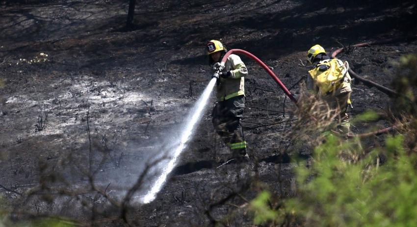 Se confirma la segunda muerte en La Araucanía tras incendios forestales