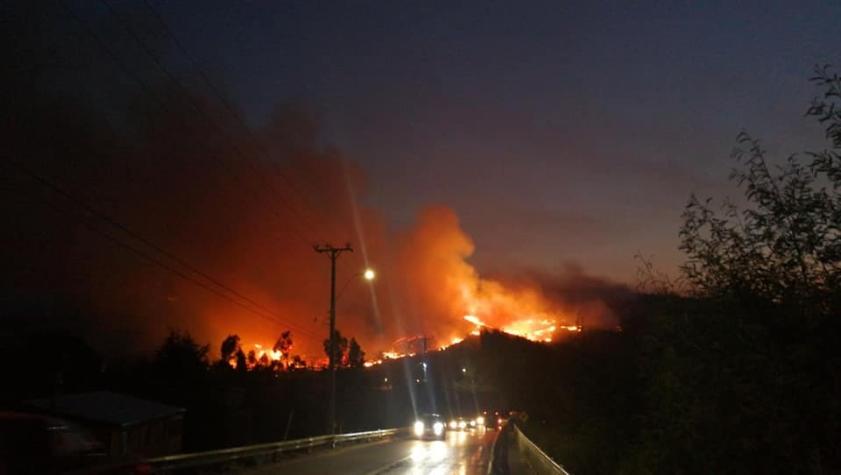 [VIDEO] Incendio forestal en Carahue amenaza zonas urbanas