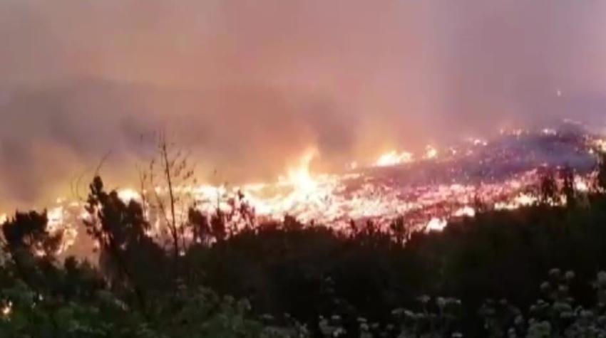 [VIDEO] Incendios forestales en La Araucanía han consumido cerca de cinco mil hectáreas