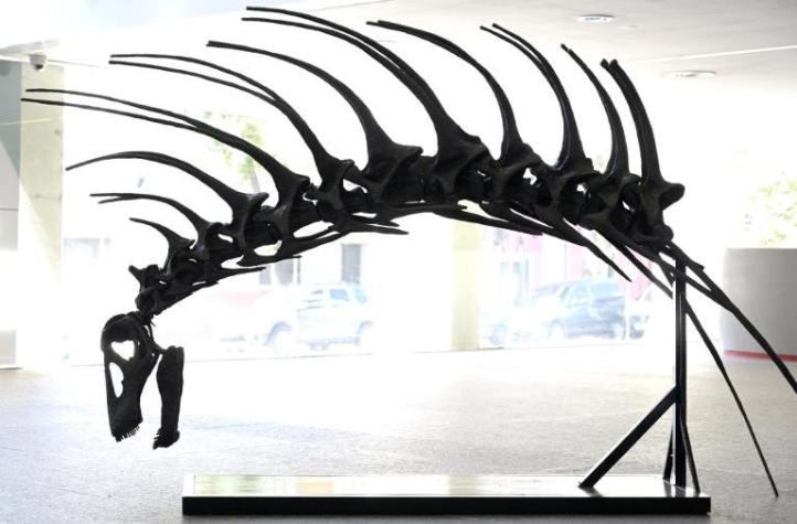 Dinosaurio que se defendía con sus espinas es hallado en Argentina