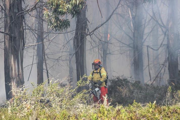 [VIDEO] Gobierno decreta estado de catástrofe por incendios forestales en el sur