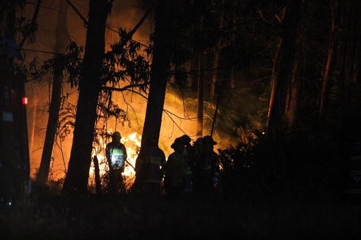 Incendios forestales: ¿Qué implica el estado de excepción de catástrofe?