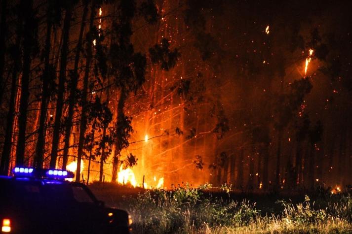 Onemi revela que 21 focos de incendios "relevantes" se mantienen activos en el sur del país