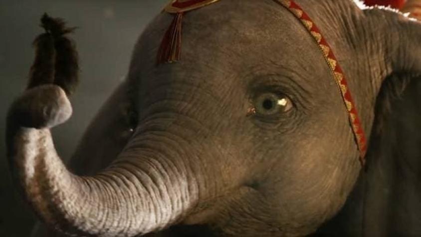 [VIDEO] El emotivo nuevo tráiler internacional que Disney estrenó de "Dumbo"