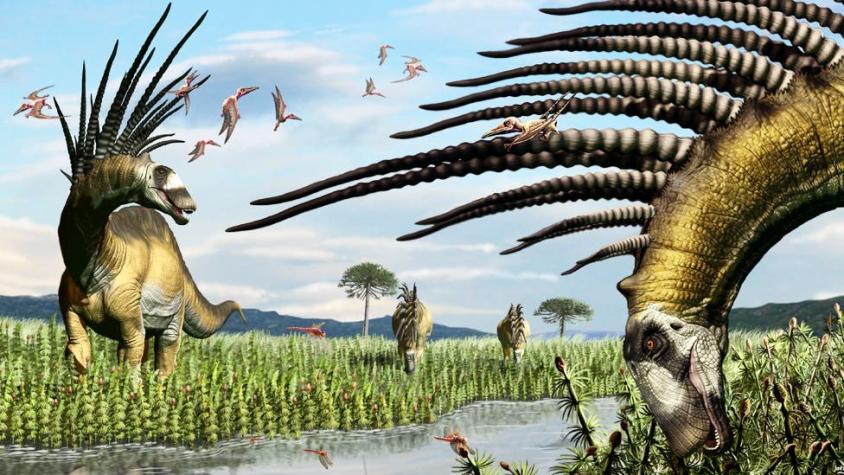 El dinosaurio descubierto en Argentina que tenía un abanico de espinas gigantes para defenderse