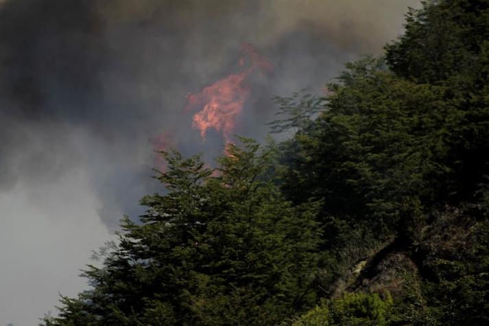 Onemi reporta 32 incendios forestales activos en siete regiones del país