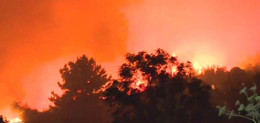 [VIDEO] Región de Biobío: Incendios forestales dejan al menos seis personas lesionadas en Penco