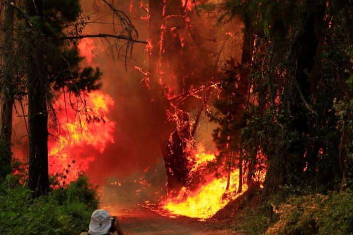 Onemi declara Alerta Roja para Chillán por incendios forestales