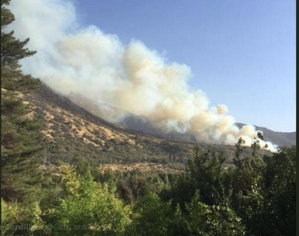 Onemi declara Alerta Roja para Pirque por incendio forestal