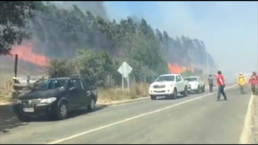 [VIDEO] Evacuación por incendios en la Región del Ñuble