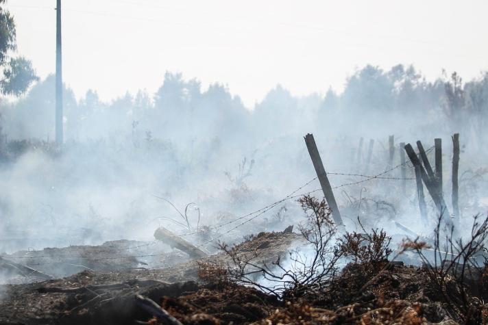 Detienen a cinco hombres por provocar incendio forestal en Ancud