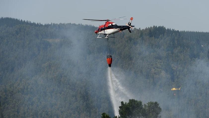 PDI investiga procedimiento forestal que habría provocado incendio en Nacimiento