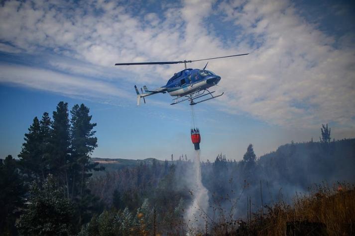 Onemi reporta 42 incendios forestales activos en el sur del país