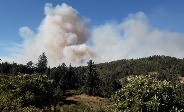 Onemi reporta 32 incendios forestales activos en el centro-sur del país
