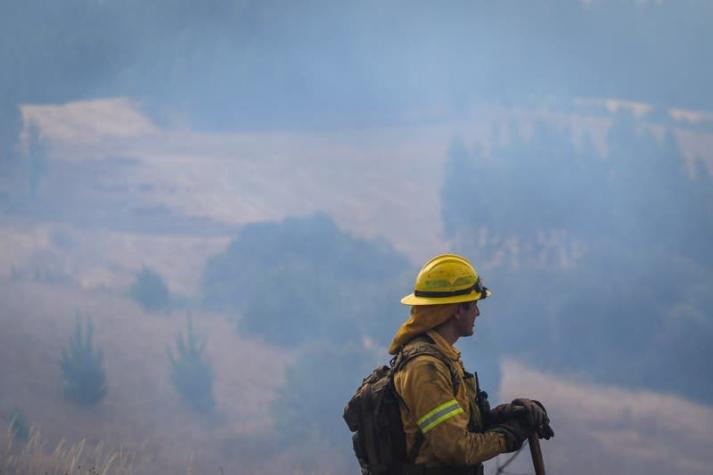 Suben a 53 mil las hectáreas quemadas por incendios forestales en todo el país