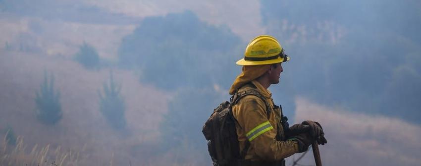 Onemi declara alerta roja en la comuna de Pitrufquén por incendio forestal