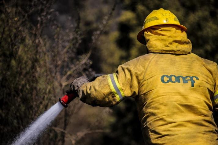 Onemi registra 34 incendios forestales activos en el centro-sur del país