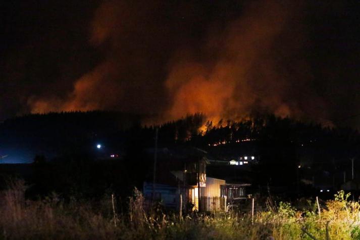 Decretan alerta roja en Nueva Imperial por incendio forestal