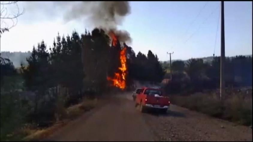 [VIDEO] Polémicos dichos de Ubilla por incendios