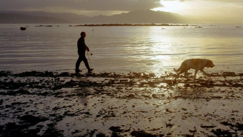 Qué es la marea de sizigia que "se llevó" el agua de las costas de México