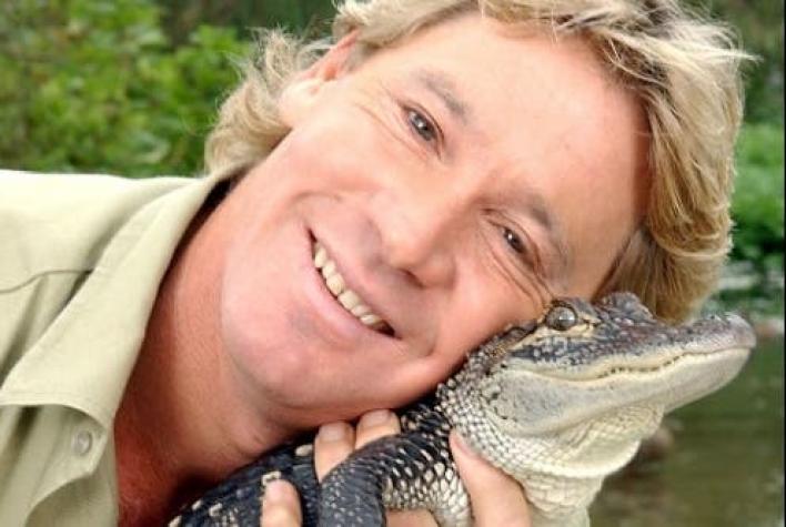 [FOTOS] Google celebra a Steve Irwin, el cazador de cocodrilos