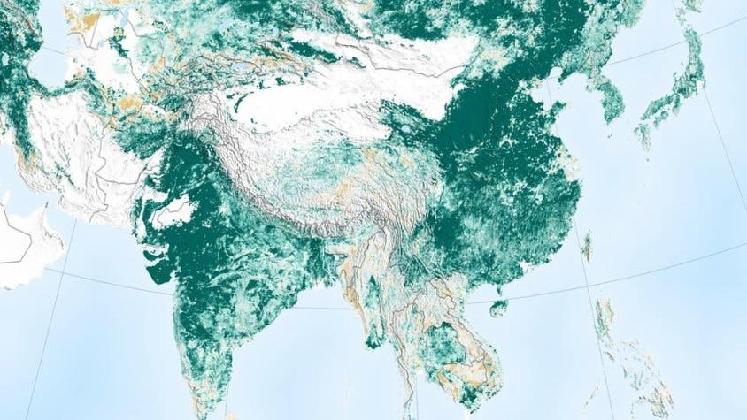 Estudio de la NASA muestra que la Tierra es "más verde" que hace 20 años gracias a China e India