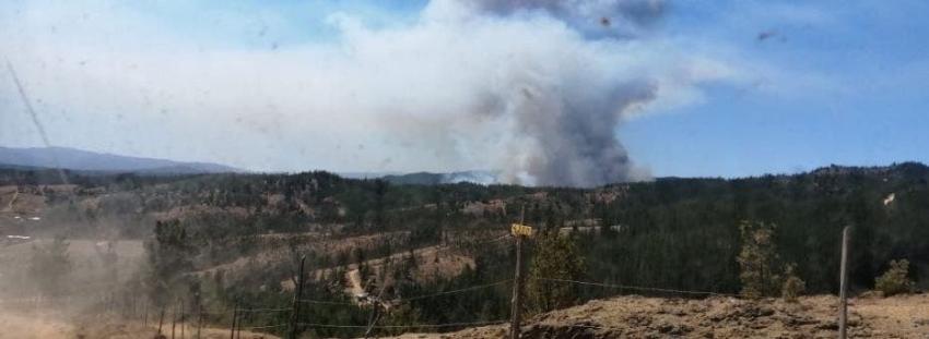 Región de O'Higgins: Declaran alerta roja por Incendio forestal en Paredones
