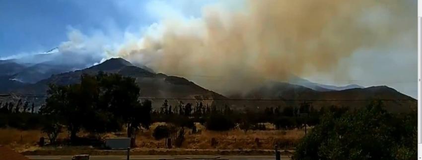 [VIDEO] Decretan Alerta Roja para Pudahuel y Curacaví por incendio forestal